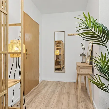 Staytime - Cedar * Dresden